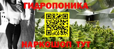 индика Бузулук