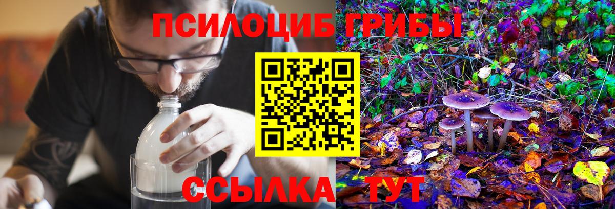 Галлюциногенные грибы MAGIC MUSHROOMS  Вход с VPN  Слободской 